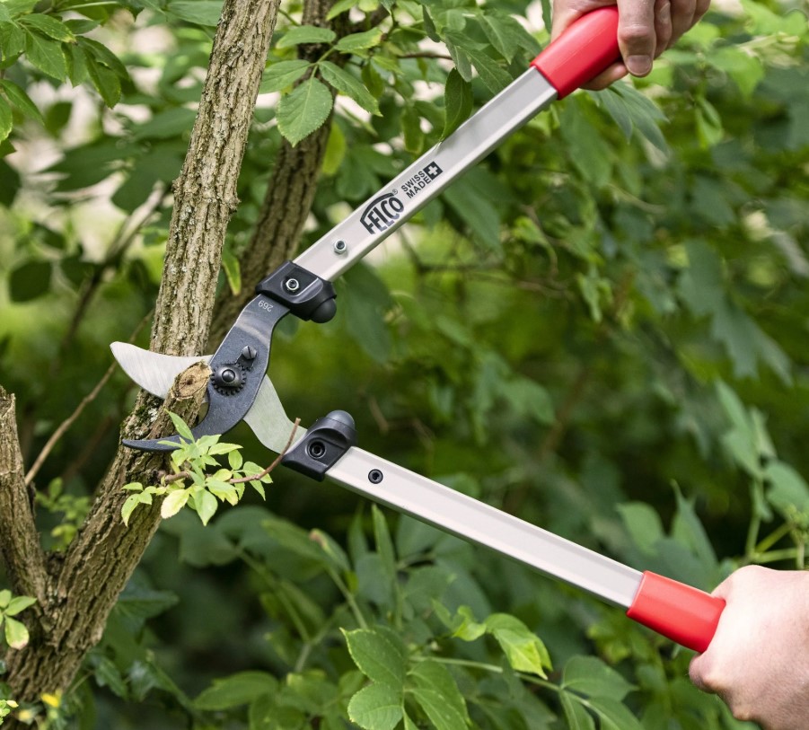 best-loppers-thick-branches