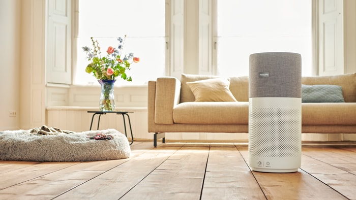 Best Air Purifiers in India